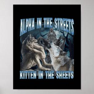 Poster Alpha Dans Les Rues Chat Dans Les Draps Drôle De L