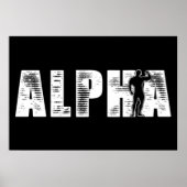 Poster Alpha mâle (Devant)