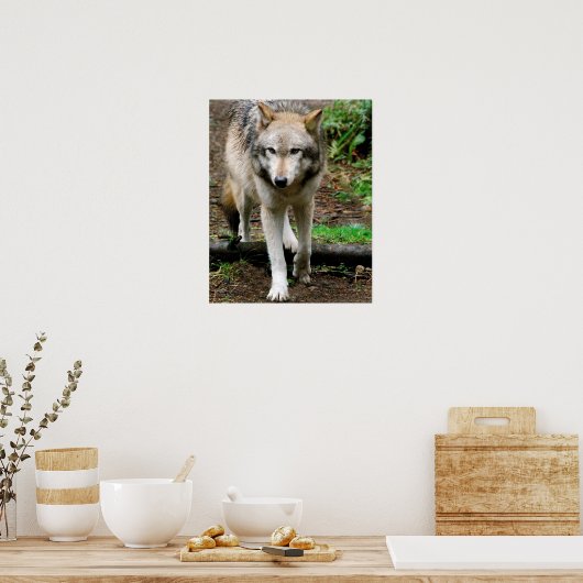 Poster Alpha Wolf (Cuisine)