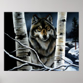 Poster Alpha Wolf (Devant)