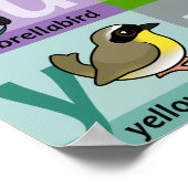 Poster Alphabet Birdable des oiseaux (Coin)