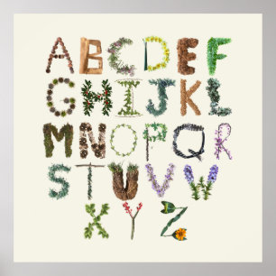 Poster Alphabet botanique - ABC phonétique de la nature 