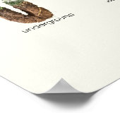 Poster Alphabet de découverte de la nature | Pépinière AB (Coin)