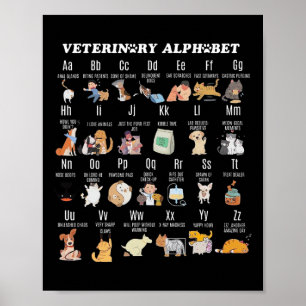 Poster Alphabet de médecine vétérinaire Vet Nurse Student