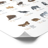 Poster Alphabet des Animaux de la Forêt Décor de Pépinièr (Coin)