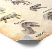 Poster alphabet dinosaure (Coin)