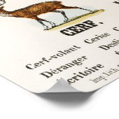 Poster Alphabet Et Numéros vintages (Coin)