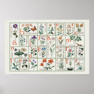 Poster Alphabet Fleur sauvage de style vintage Floral Nur