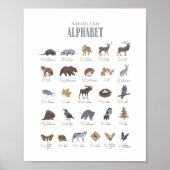 Poster Alphabet illustré des animaux de la forêt pour déc (Devant)