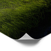 Poster Alpine Valley Stream Green Meadows Snowy Peaks (Coin)