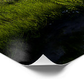 Poster Alpine Valley Stream Green Meadows Snowy Peaks (Coin)