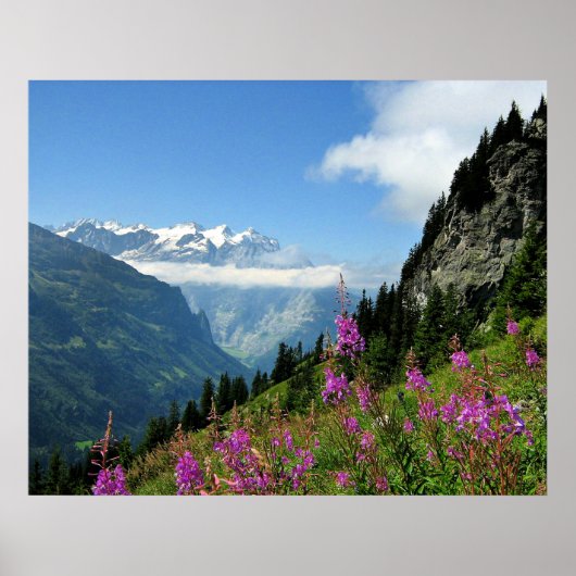 Poster Alps (Devant)