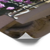 Poster Alsace, France 2 (Coin)