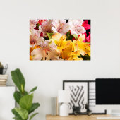 Poster Alstroemeria Flowers/Print (Thuiskantoor)