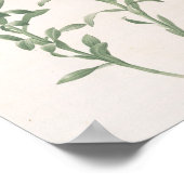 Poster Alstroemeria Pelegrina (Coin)