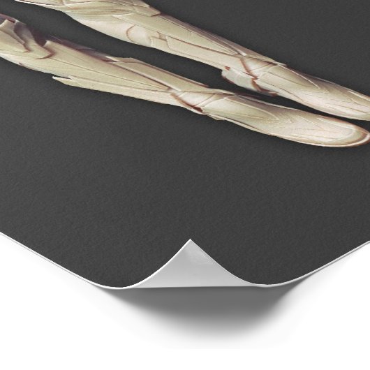 Poster Alternate Sinestro (Coin)