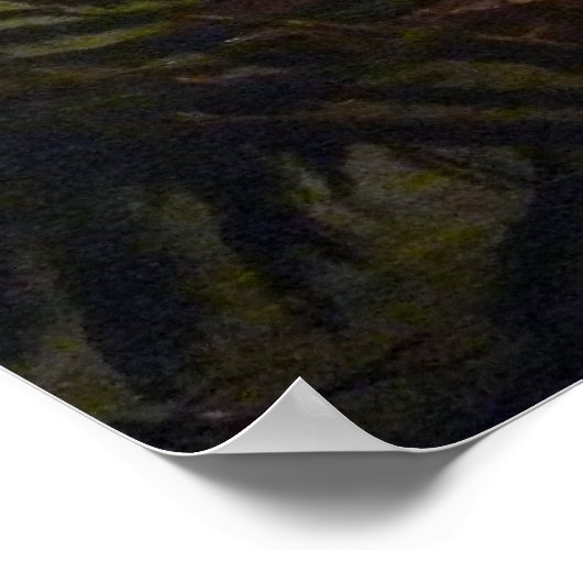 Poster Alvan Fisher Vue générale des chutes du Niagara (Coin)