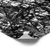 Poster Alvin York (Coin)