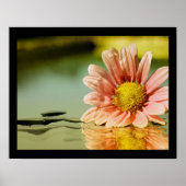 Poster alysia (Devant)