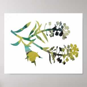 Poster Alyssum