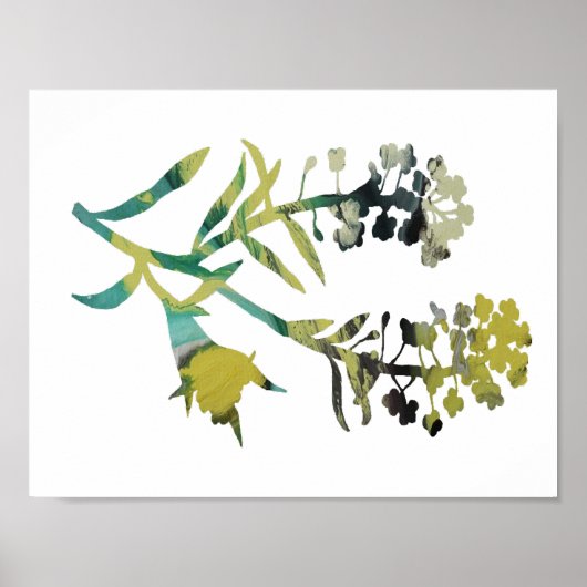 Poster Alyssum (Devant)