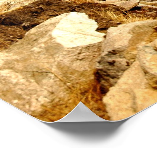 Poster Ama Dablam (Coin)