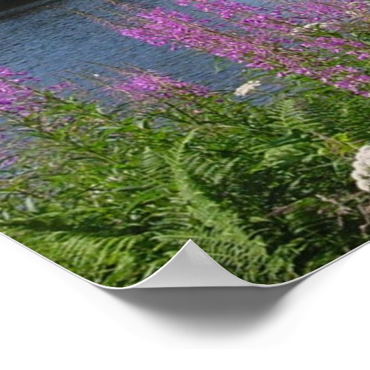 Poster Amalgafireweed (Coin)