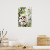 Poster Amande fleurie (Cuisine)