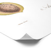 Poster Amandier, Amandier (Coin)