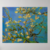 Poster Amandier en fleurs de Vincent van Gogh (Devant)