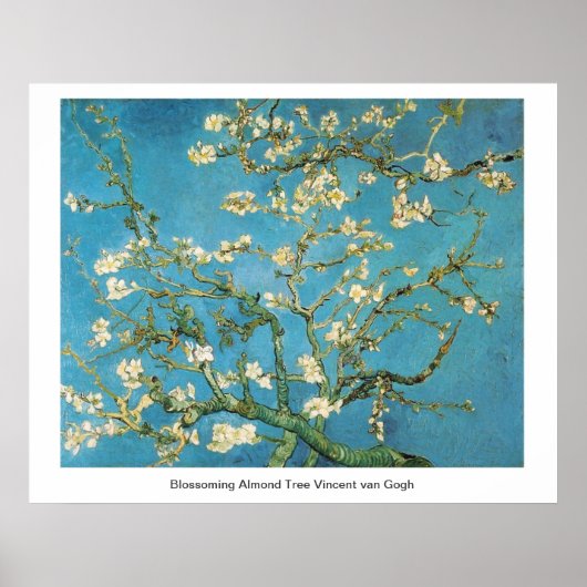 Poster Amandier en fleurs Vincent van Gogh (Devant)