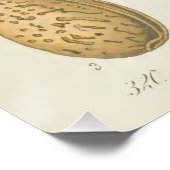 Poster Amandiers, Amygdalus communis, (Coin)