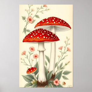 Poster Amanite tue-mouches rouge et blanc Fleurs vintage