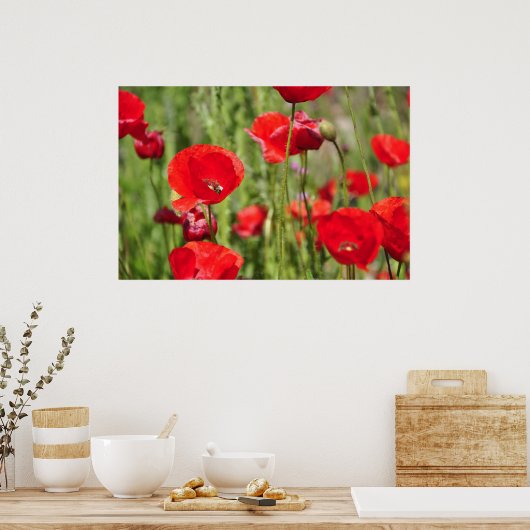 Poster Amapolas (Cuisine)