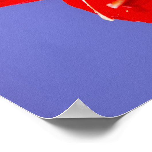 Poster Amaryllis (Coin)