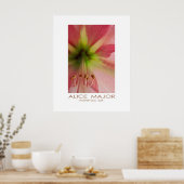 Poster Amaryllis 234 (Cuisine)