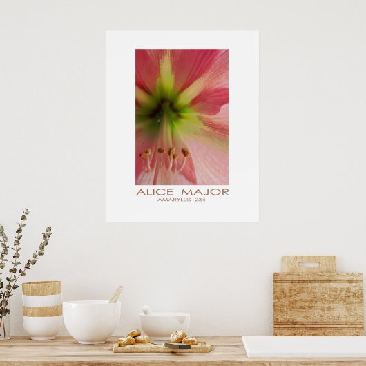 Poster Amaryllis 234 (Cuisine)