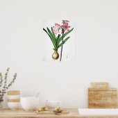 Poster Amaryllis Belladonna, de 'Les Liliacées', engrave (Cuisine)