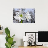 Poster Amaryllis blanc et neige II (Bureau à domicile)