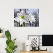 Poster Amaryllis blanc et neige II (Bureau à domicile)