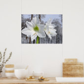 Poster Amaryllis blanc et neige II (Cuisine)