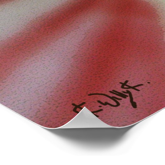 Poster Amaryllis blanc et rouge (Coin)