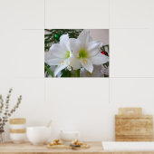 Poster Amaryllis blanc et sapin de Noël (Cuisine)