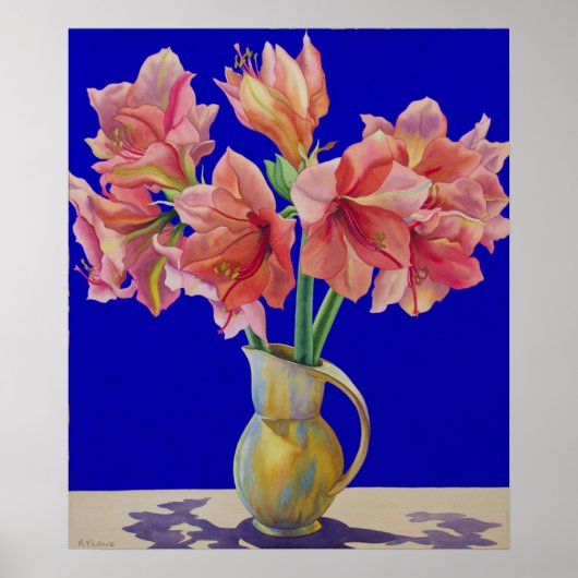 Poster Amaryllis dans une jug 2007 (Devant)