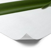 Poster Amaryllis en Fête Rouge Neige Hiver Floral (Coin)