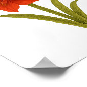 Poster Amaryllis — Fierté, beauté poétique (Coin)
