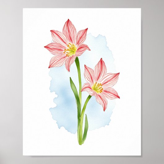 Poster Amaryllis Fleur Aquarelle (Devant)