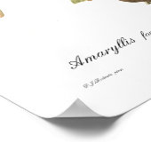 Poster Amaryllis formosissima (Coin)