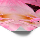 Poster Amaryllis Love... (Coin)