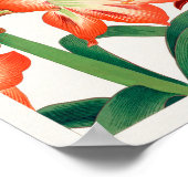 Poster Amaryllis par Tanigami Konan (Coin)